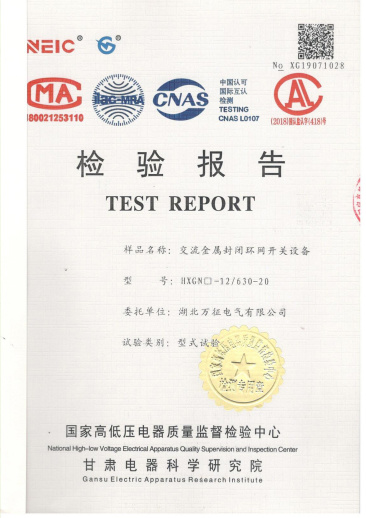 HXGN□-12/630-20交流金屬封閉環(huán)網(wǎng)開關(guān)設(shè)備檢驗報告